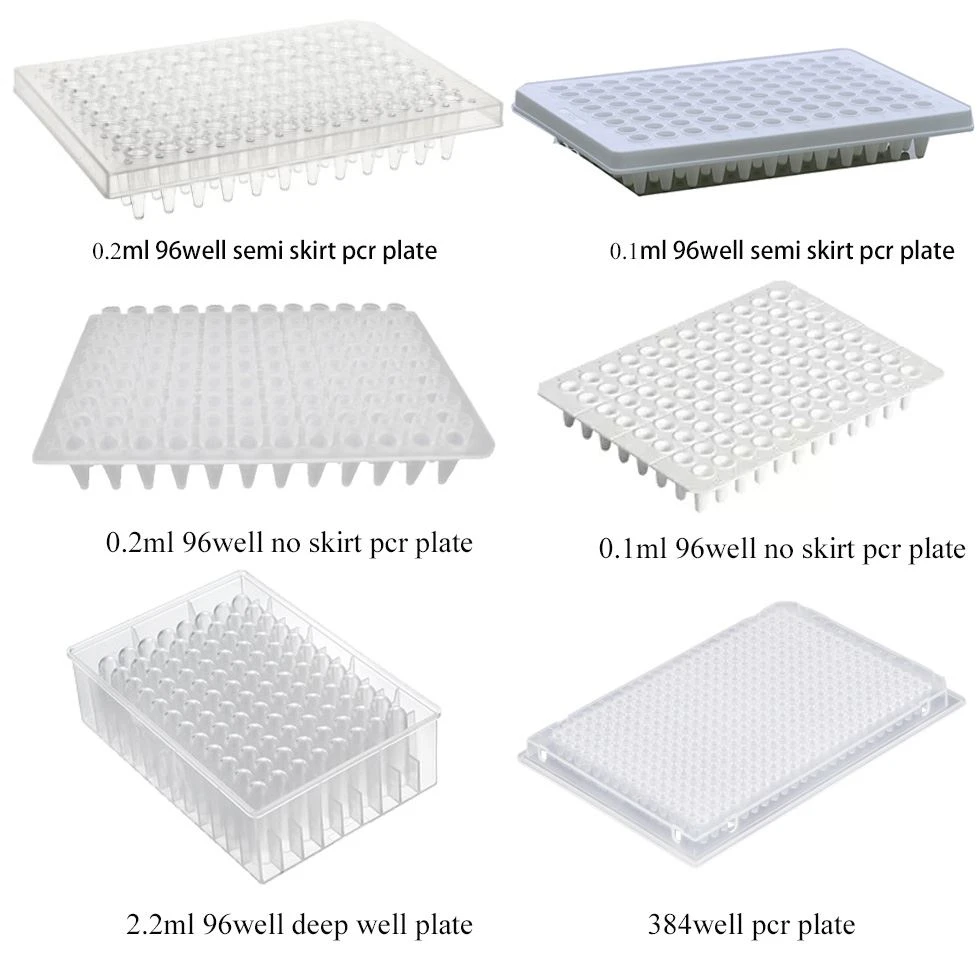 PCR Plate
